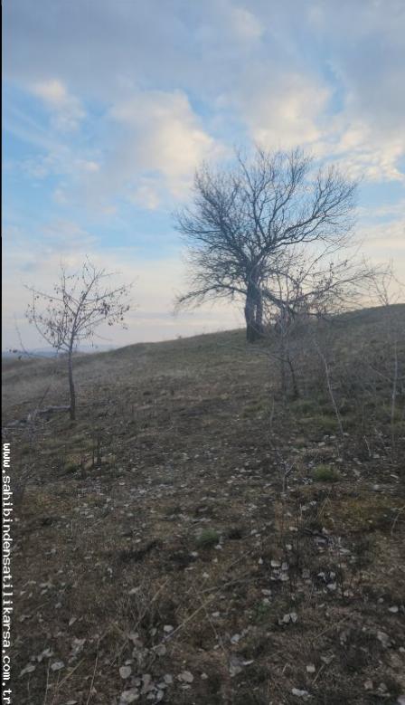 FIRSAT SARIKAYA İNEVİ'DE KÖYE VE ASFALTA ÇOK YAKIN 1176M2 TARLA