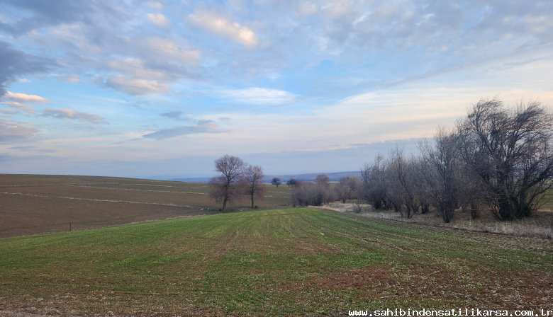 FIRSAT SARIKAYA İNEVİDE KADASTRAL YOLA ÇİFT CEPHELİ 3700M2 TARLA