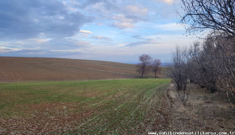 FIRSAT SARIKAYA İNEVİDE KADASTRAL YOLA ÇİFT CEPHELİ 3700M2 TARLA