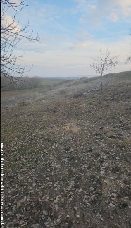 FIRSAT SARIKAYA İNEVİ'DE KÖYE VE ASFALTA ÇOK YAKIN 1176M2 TARLA