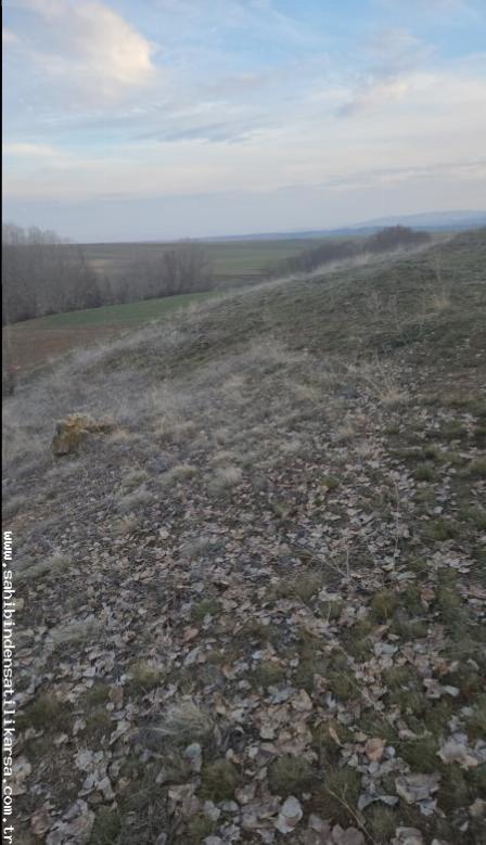 FIRSAT SARIKAYA İNEVİ'DE KÖYE VE ASFALTA ÇOK YAKIN 1176M2 TARLA