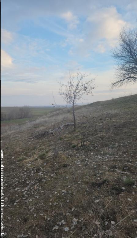 FIRSAT SARIKAYA İNEVİ'DE KÖYE VE ASFALTA ÇOK YAKIN 1176M2 TARLA