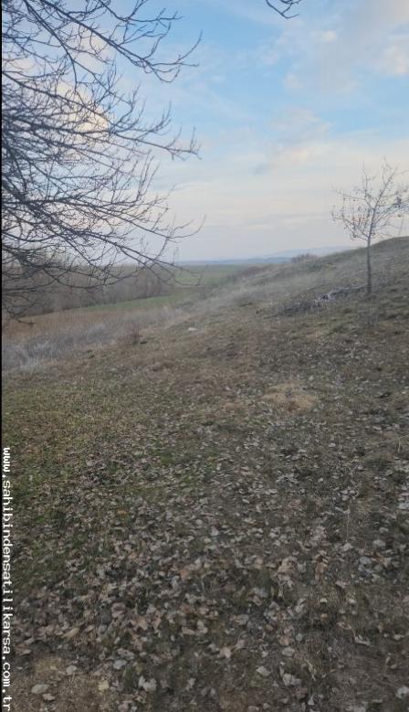 FIRSAT SARIKAYA İNEVİ'DE KÖYE VE ASFALTA ÇOK YAKIN 1176M2 TARLA