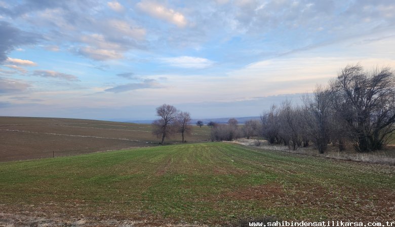 FIRSAT SARIKAYA İNEVİDE KADASTRAL YOLA ÇİFT CEPHELİ 3700M2 TARLA
