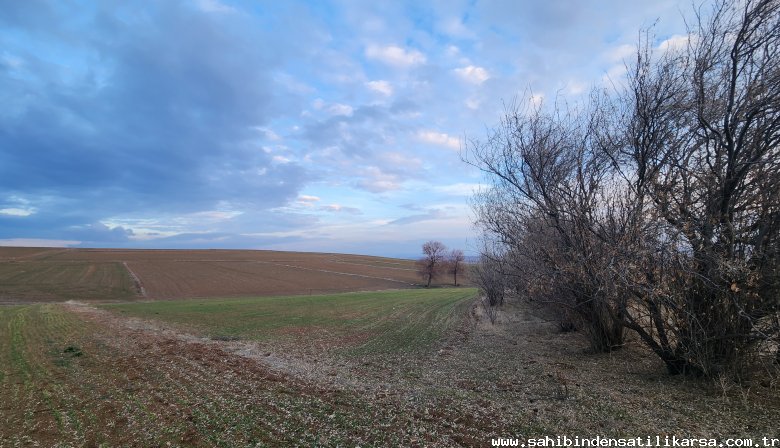 FIRSAT SARIKAYA İNEVİDE KADASTRAL YOLA ÇİFT CEPHELİ 3700M2 TARLA