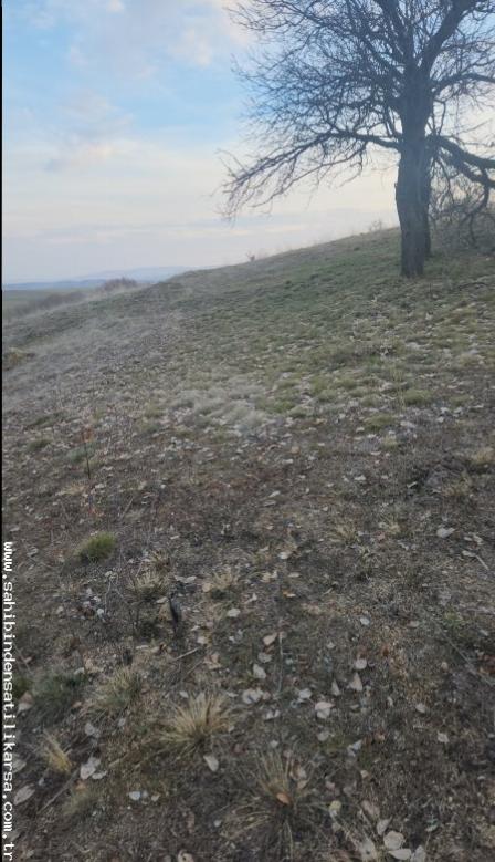 FIRSAT SARIKAYA İNEVİ'DE KÖYE VE ASFALTA ÇOK YAKIN 1176M2 TARLA