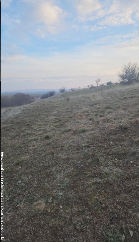 FIRSAT SARIKAYA İNEVİ'DE KÖYE VE ASFALTA ÇOK YAKIN 1176M2 TARLA