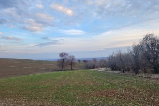 FIRSAT SARIKAYA İNEVİDE KADASTRAL YOLA ÇİFT CEPHELİ 3700M2 TARLA