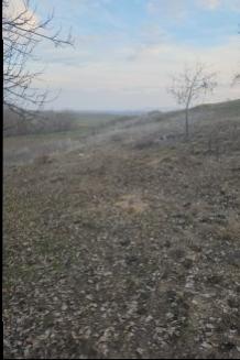 FIRSAT SARIKAYA İNEVİ'DE KÖYE VE ASFALTA ÇOK YAKIN 1176M2 TARLA