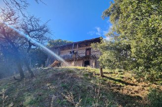 FIRSAT DENİZLİ TAVAS KAYACAKÖYDE 1145M2 2 KATLI TAŞ EV VE ARSASI