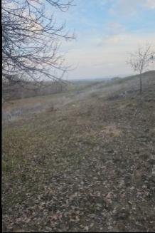FIRSAT SARIKAYA İNEVİ'DE KÖYE VE ASFALTA ÇOK YAKIN 1176M2 TARLA