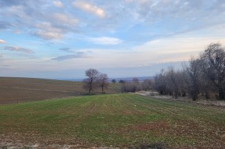 FIRSAT SARIKAYA İNEVİDE KADASTRAL YOLA ÇİFT CEPHELİ 3700M2 TARLA