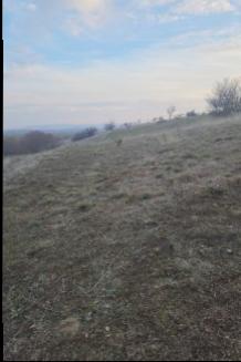 FIRSAT SARIKAYA İNEVİ'DE KÖYE VE ASFALTA ÇOK YAKIN 1176M2 TARLA